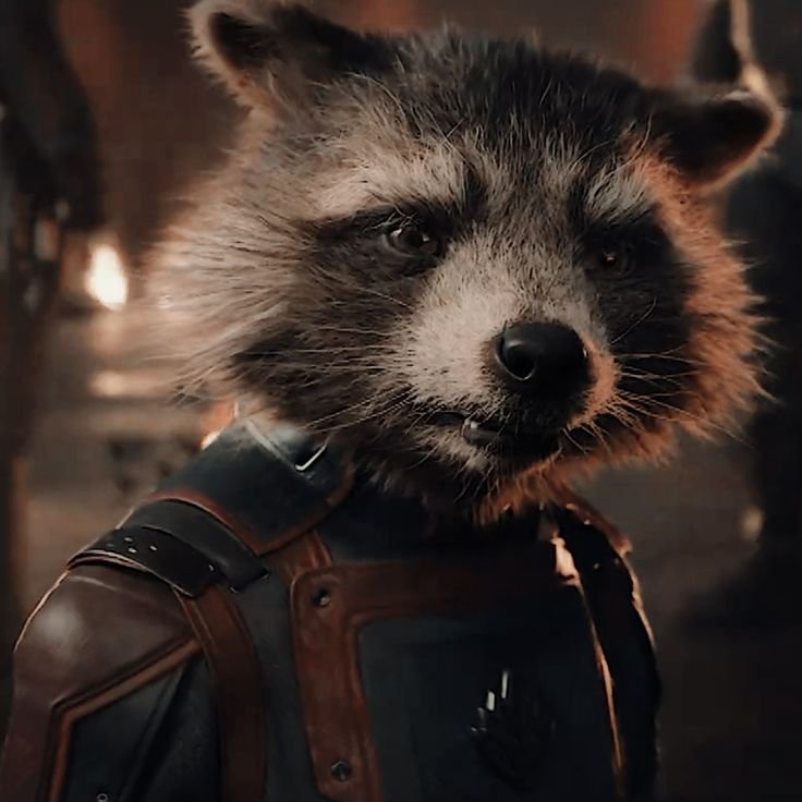 Rocket Raccoon Key Relationships and Interactions With Allies and Foes